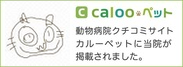 Calooybg